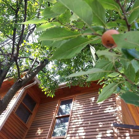 بلومنقتون Persimmon Inn المظهر الخارجي الصورة